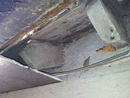 fkillineybeforeexternal 1110.jpg